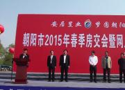 2015年朝陽市春季房交會(huì)熱鬧開場(chǎng)
