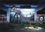 化石古玉之都 轉(zhuǎn)型發(fā)展之城（四）——龍鳥(niǎo)飛花