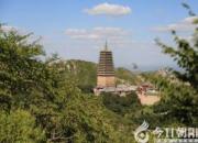 【今日朝陽(yáng)網(wǎng)】遼寧朝陽(yáng)鳳凰山傳說(shuō)系列之——千年古松