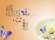 【今日朝陽網(wǎng)】細嗅感恩之芬芳