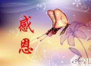 【今日朝陽網(wǎng)】感恩有你，與愛同行