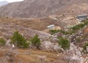 【今日朝陽(yáng)網(wǎng)】京城畫(huà)家來(lái)朝陽(yáng)天門山寫(xiě)生（秦首先）