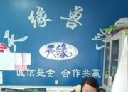 【今日朝陽網】好借風力上晴空