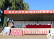 【今日朝陽(yáng)網(wǎng)】激情在金秋燃燒