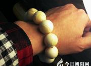 【今日朝陽(yáng)網(wǎng)】收藏與中西方文化——獨(dú)角鯨牙里的故事（黃曉偉）