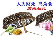 【民間傳說】人為財(cái)死，鳥為食亡（王玉華）