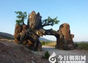 【今日朝陽(yáng)網(wǎng)】槐樹洞小記（李建軍）