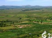 【今日朝陽網(wǎng)】柳條邊（姚玉民）