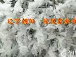 【今日朝陽(yáng)網(wǎng) 攝影欣賞】遼寧朝陽(yáng)驚現(xiàn)霧凇奇觀（欒麗娜）