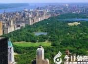 【今日朝陽(yáng)網(wǎng)】中央公園踏雨（美國(guó)紀(jì)行之三十三）（鄒本殿）