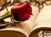 【今日朝陽網(wǎng)】你看，這就是生活（王佳伊）