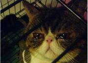 【民間傳說(shuō)】高山流水（王玉華）