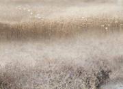 【今日朝陽網(wǎng)】禮儀之邦，千年風(fēng)雅韓（佳彤 顧長安）