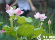 【今日朝陽網(wǎng)】讓夢(mèng)想在未來的天空展翅翱翔（趙永琪）