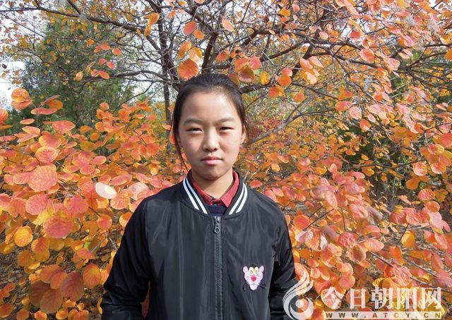 點(diǎn)擊查看大圖