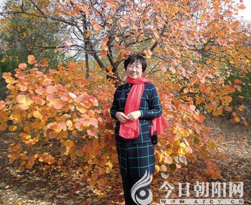 點(diǎn)擊查看大圖