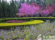 【今日朝陽網(wǎng)】最美的風景（黃大維）