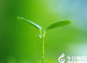 【今日朝陽網(wǎng)】《心靈獨語》系列——希望（趙淑清）