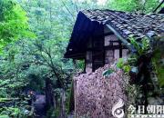 【今日朝陽網(wǎng)】我的老屋——老屋的綠蔭（趙淑清）