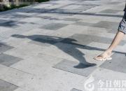 【今日朝陽網(wǎng)】《物象的倫理》系列之六（趙淑清）