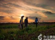 【今日朝陽網(wǎng)】靈魂之岸（趙淑清）