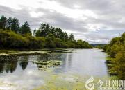 【今日朝陽網(wǎng)】生活的重量（上篇）——嫉妒（趙淑清）