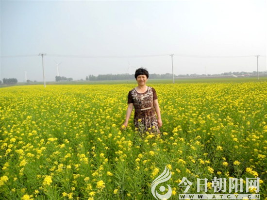 點(diǎn)擊查看大圖