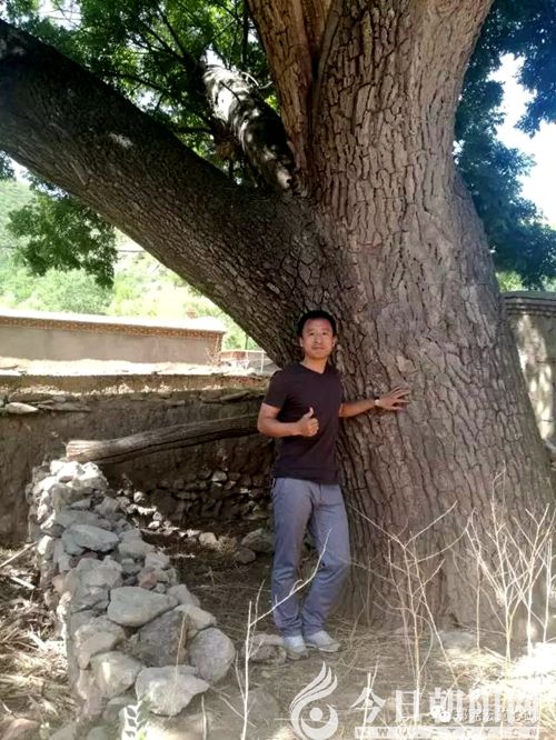 點(diǎn)擊查看大圖