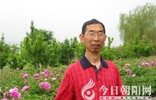 點(diǎn)擊查看大圖