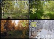 【今日朝陽網(wǎng)】“四季”家庭（王煜錚）