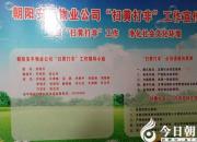 【今日朝陽網(wǎng)】安平集團開展“掃黃打非”助力社會環(huán)境凈化（梁麗麗）