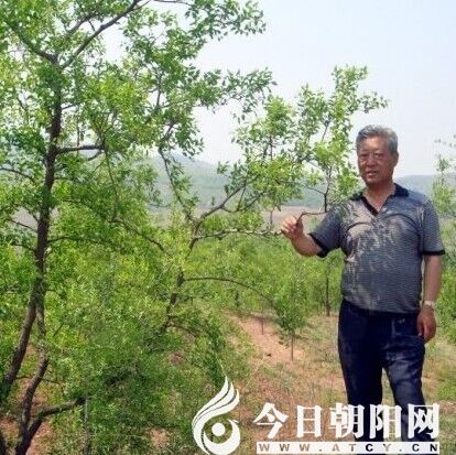 點(diǎn)擊查看大圖