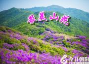 【今日朝陽網(wǎng)】最美山花（下）（劉文艷）