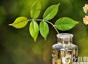 【今日朝陽網】禮物（張迅崢）