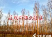 【今日朝陽網(wǎng)】水滸情仇錄（十八）（辛生幟匯）