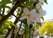 【今日朝陽網】擴寫《濫竽充數(shù)》（李明澤）