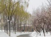 【今日朝陽網(wǎng)】水滸情仇錄（三十三）（辛生幟匯）