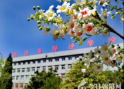 朝陽(yáng)市財(cái)經(jīng)學(xué)校2018年開始招生了，看看有適合您家孩子的專業(yè)嗎？