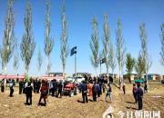 驚喜：傳承千百年的種地模式被深度顛覆?。ㄈ鹧?褚駒 ）