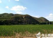 李老漢的心里為啥喜滋滋的？（瑞雪）