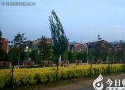 這個調皮搗蛋又勇敢的小男孩（陶藝菲）