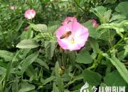 春天，這里真是一幅明媚的畫兒呀?。◤堅婍担?></a>
            <div   id=