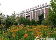 喜歡這所學校，因為收獲了許多我不曾想到的（佟彬）