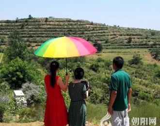 【今日朝陽網(wǎng)】親愛的吃貨們：北票杏府山莊進入新一輪采摘季?。ㄚw威）