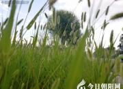 這四個(gè)孩子太皮了?。ㄍ斛Q然）