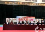 一“網”情深聚朝陽（立軍）