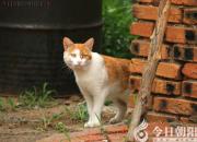 只是因?yàn)榕既豢戳四阋谎郏ㄍ蹶繚桑?></a>
            <div   id=