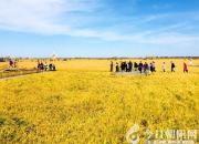 【舊文新曬】夢(mèng)里夢(mèng)外（王中原）