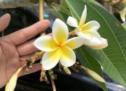 二哥，我替你驕傲地說，這世界你曾來過（丁方圓）