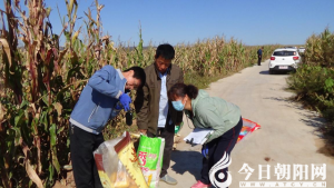 保護(hù)土地，他們一直在行動(dòng)（瑞雪 立軍）